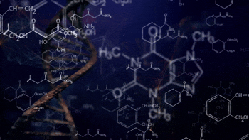 barker_chemistry_french_fry_heaven_the_peace_strain_series (720p)